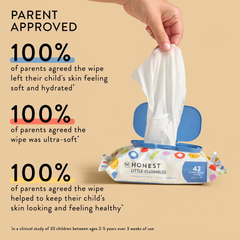 The Honest Company Plant-Based Baby Wipe - Little Flushable Wipes